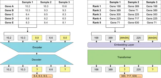 AI for RNA-Seq Embeddings in Transcriptomic Profiling