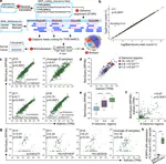 BamQuery a proteogenomic tool to explore the immunopeptidome and prioritize actionable tumor antigens